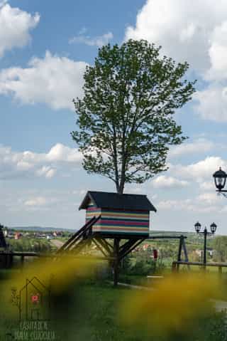 Poza cu casuta din copac